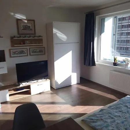 V Centre Mesta Apartman *